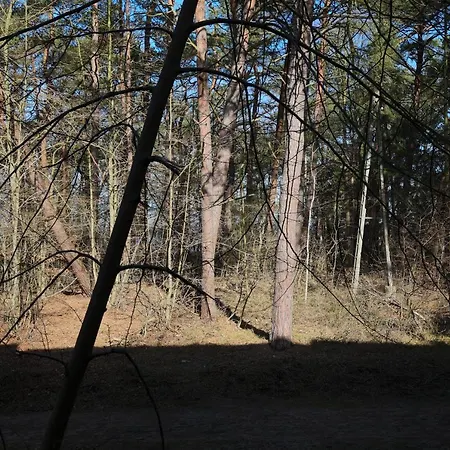 Appartamento Fabulous - Euronia *