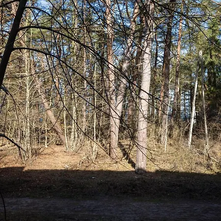 Fabulous - Euronia Pobierowo